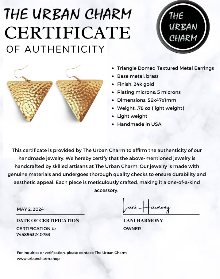 Hammered Triangle Dangle Earrings