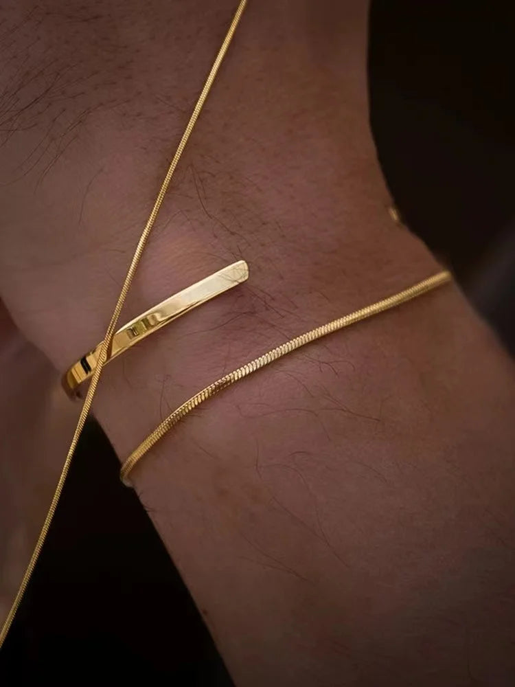 Stainless Steel Silver Color Men Snake Bone Chain Bracelet Simple